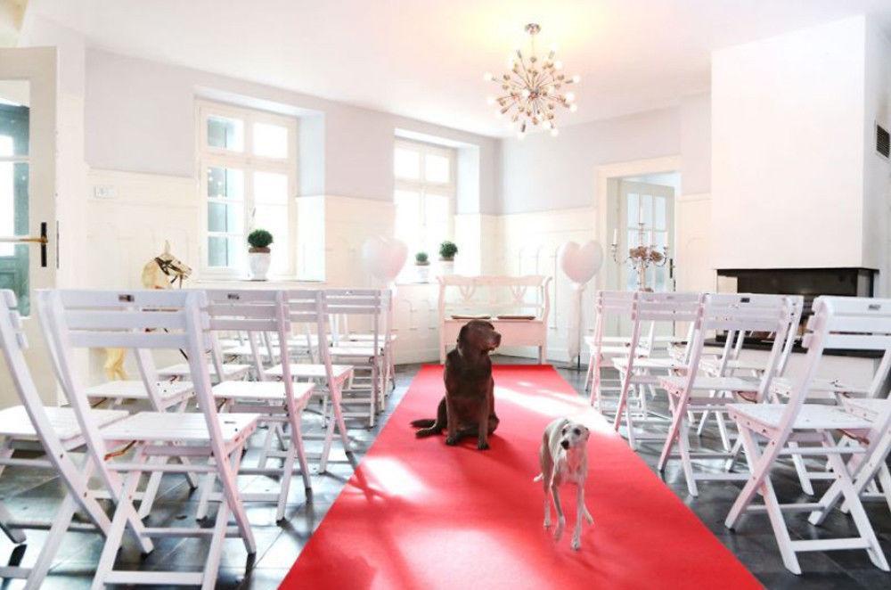 Gut Hohenholz Hotel Bedburg Buitenkant foto